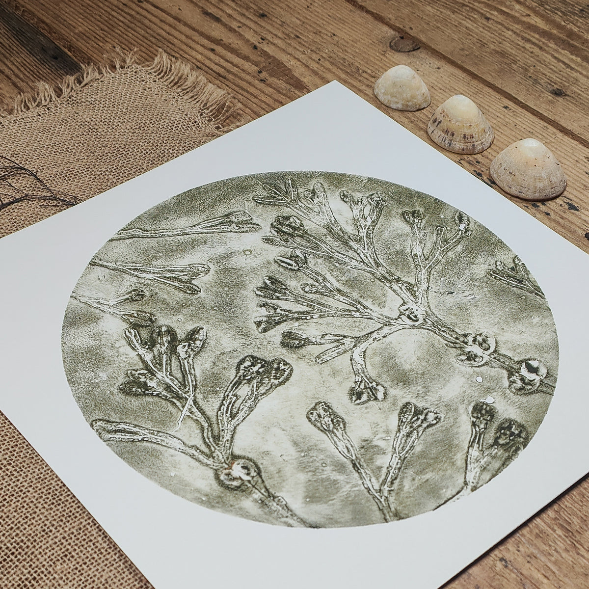 Original Celadon Green Circular Seaweed Print