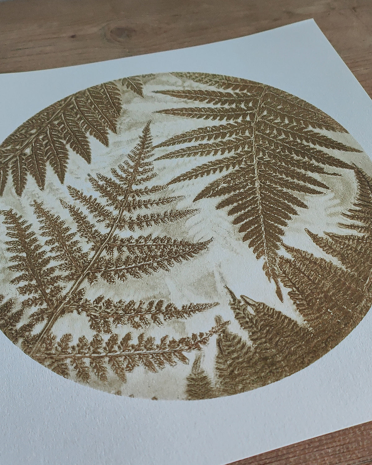 Golden Ferns Wild Woodland Original Circular Print