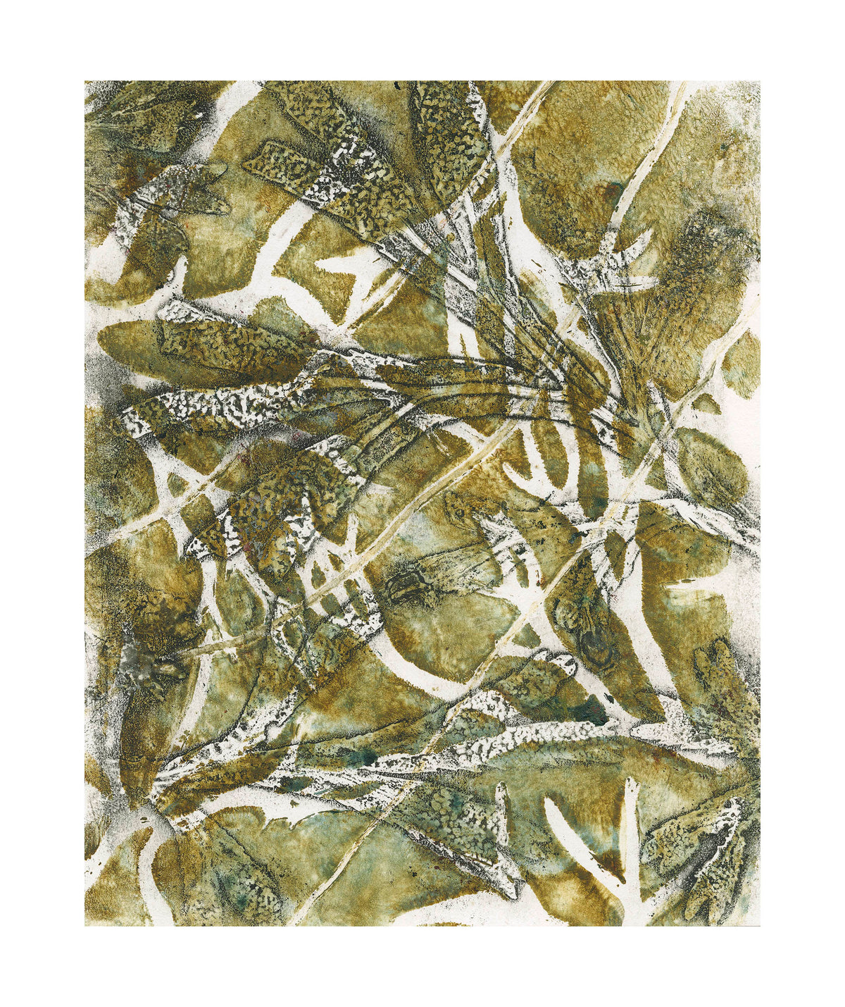 Olive Anglesey Seaweed Original Print