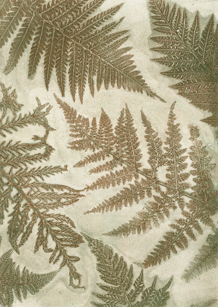 Wild Woodland Collection