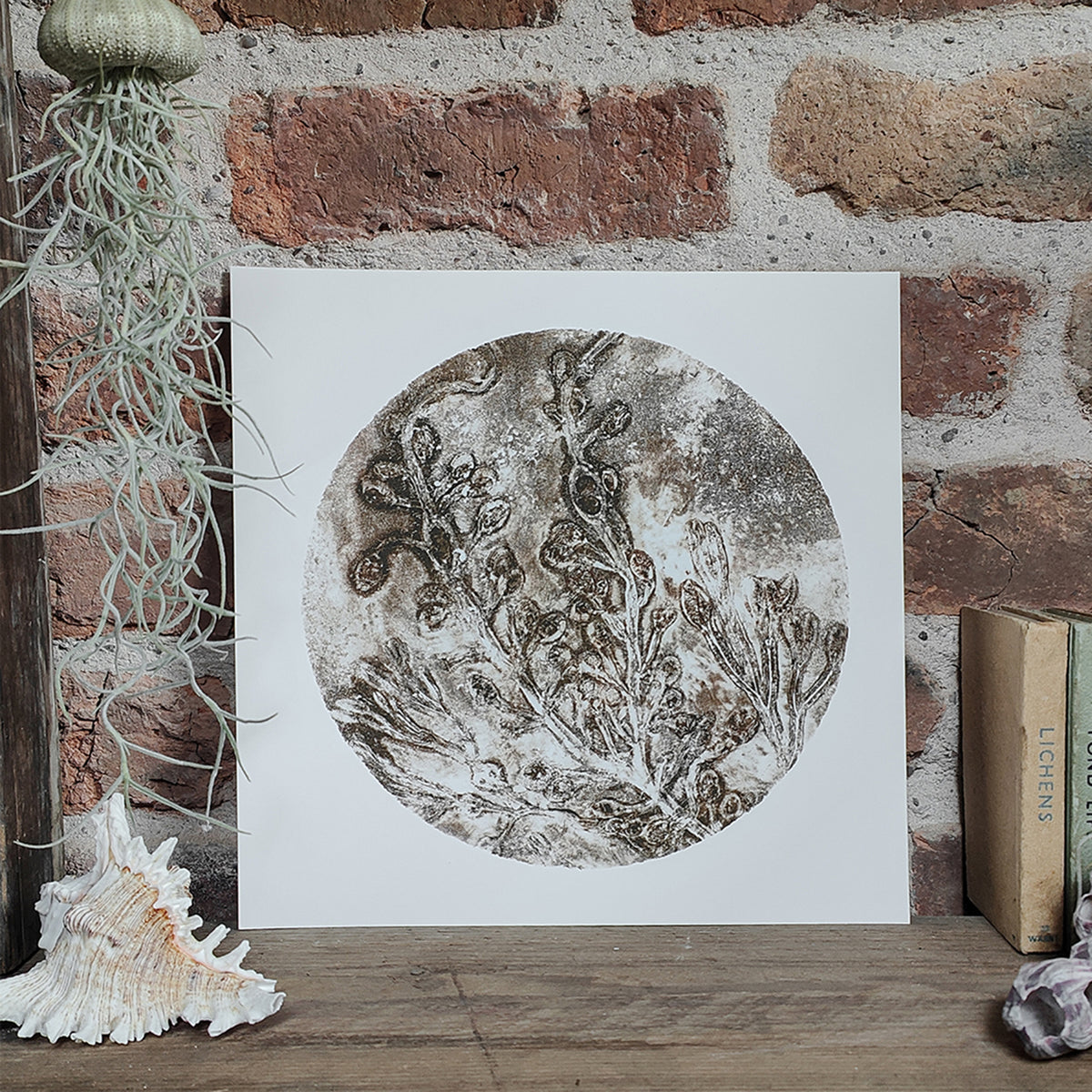 Original Misty Brown Circular Seaweed Print