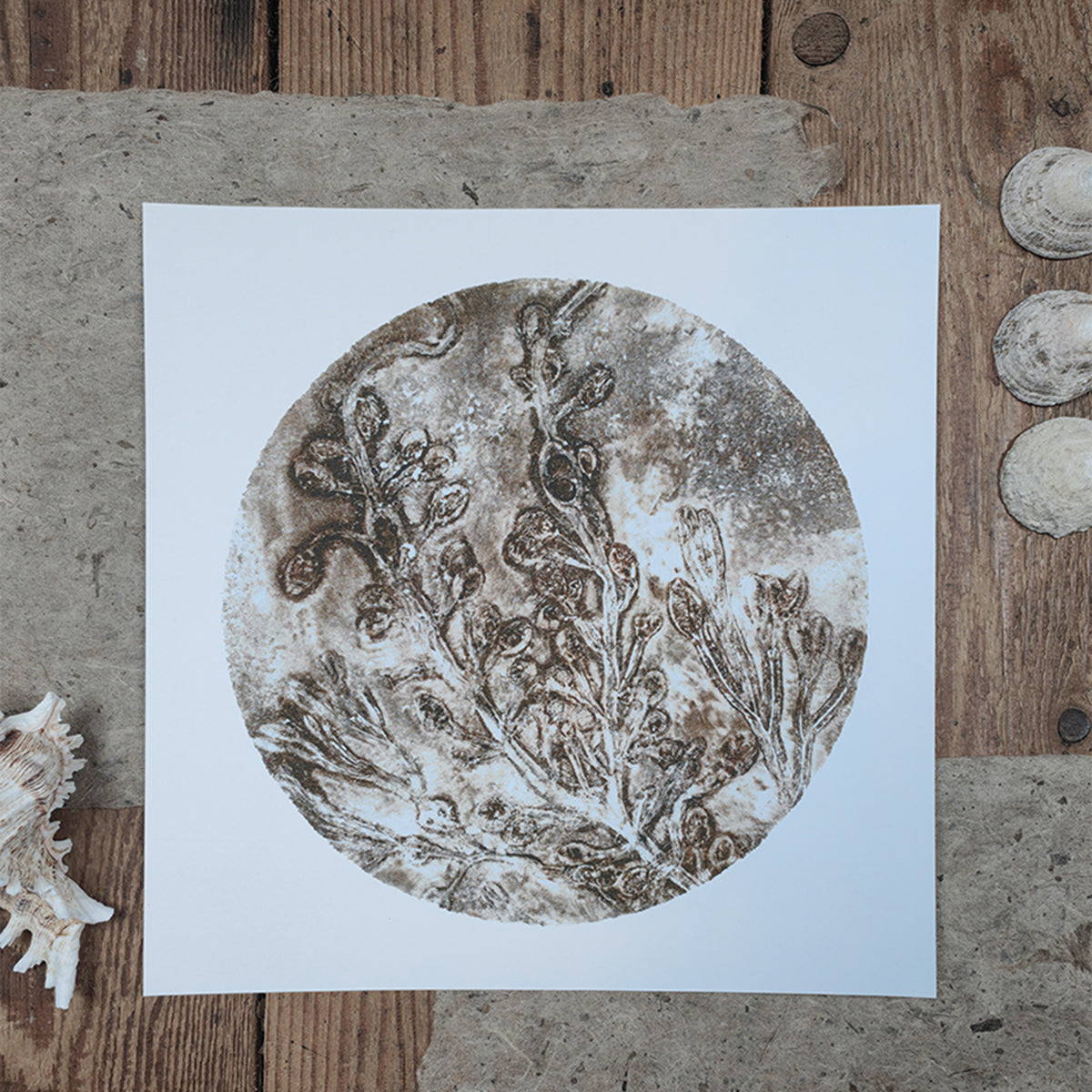 Original Misty Brown Circular Seaweed Print