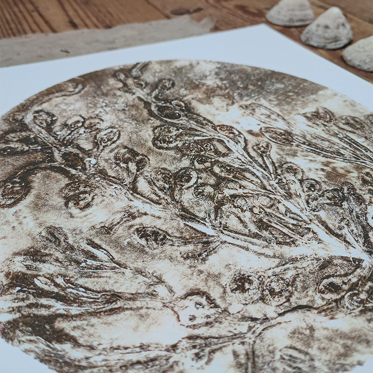 Original Misty Brown Circular Seaweed Print