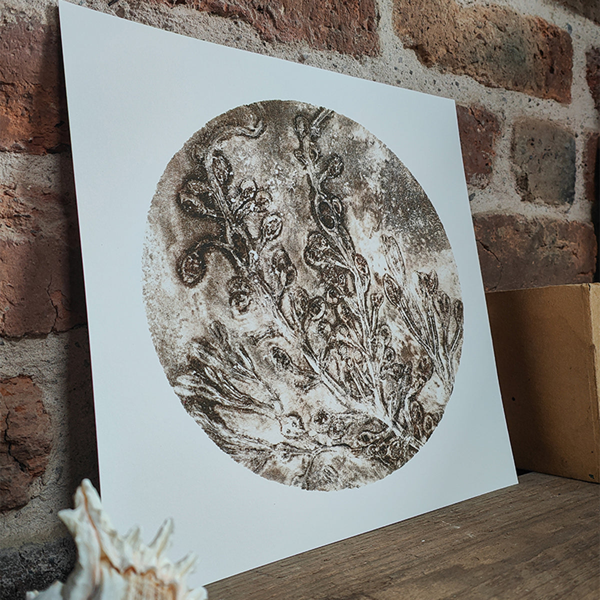 Original Misty Brown Circular Seaweed Print