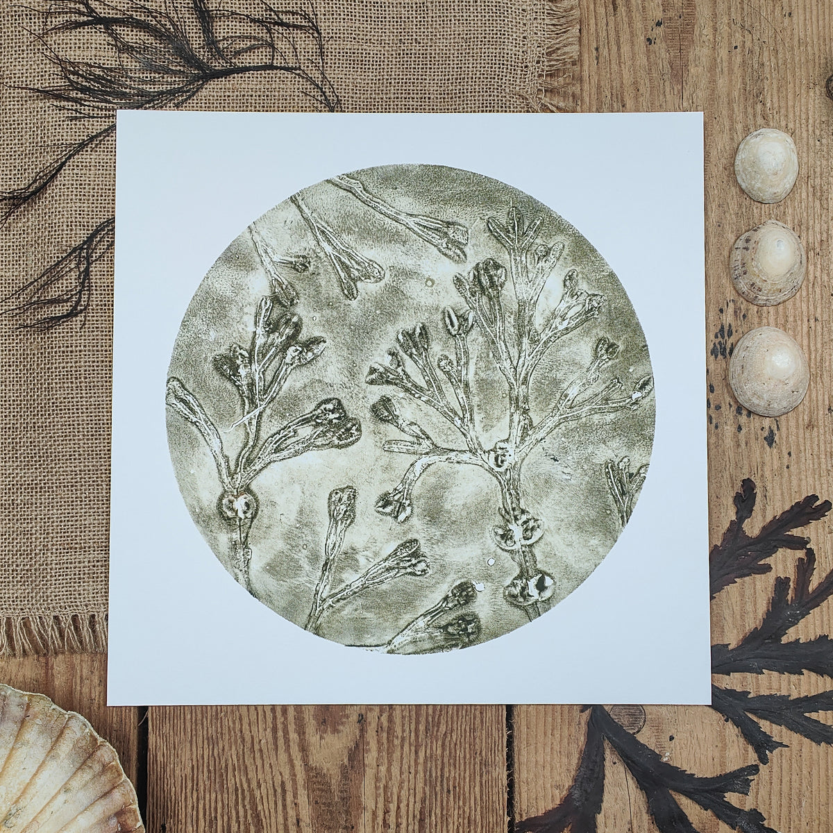 Original Celadon Green Circular Seaweed Print
