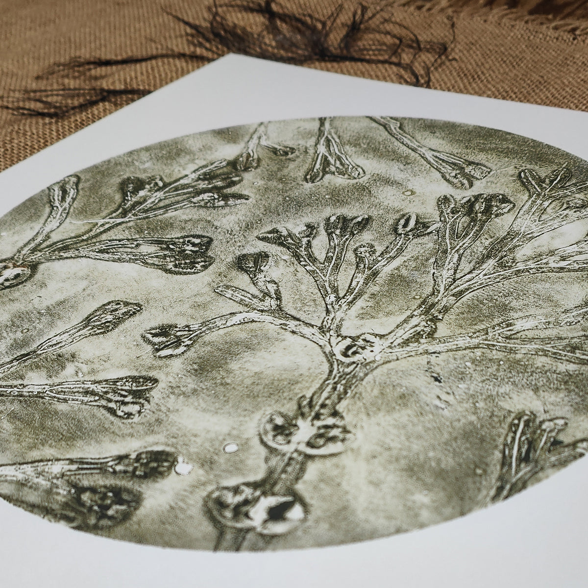 Original Celadon Green Circular Seaweed Print