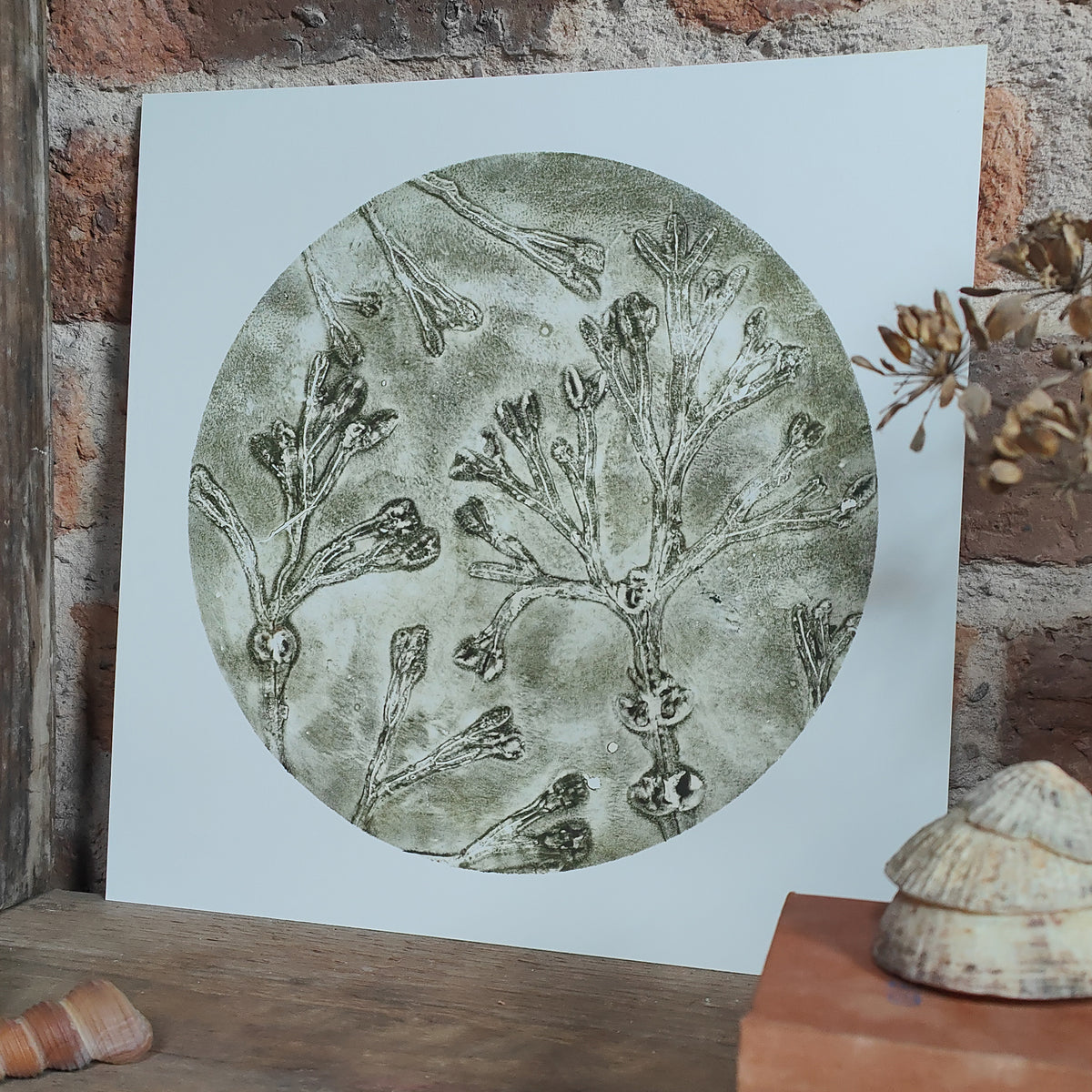 Original Celadon Green Circular Seaweed Print