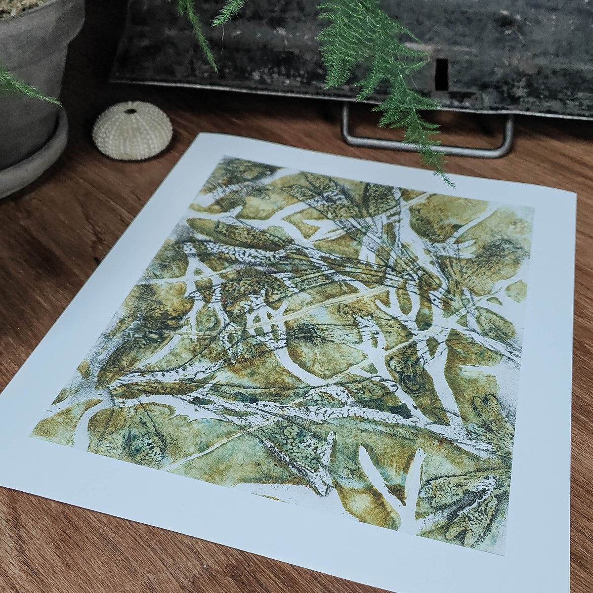 Olive Anglesey Seaweed Original Print
