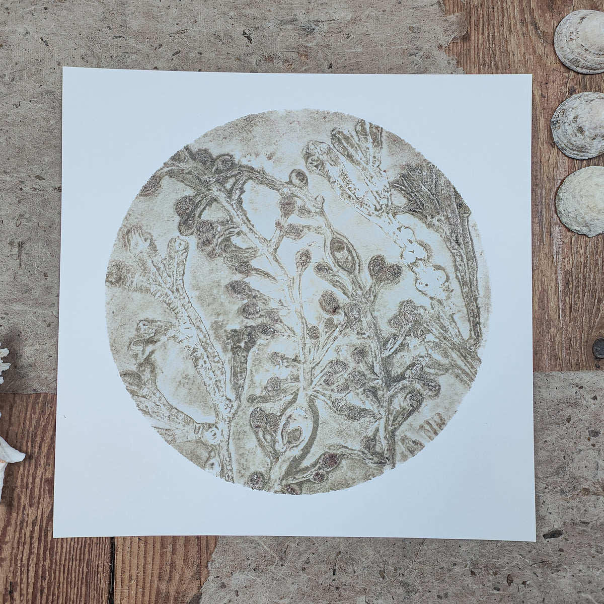 Original Warm Oyster Circular Seaweed Print
