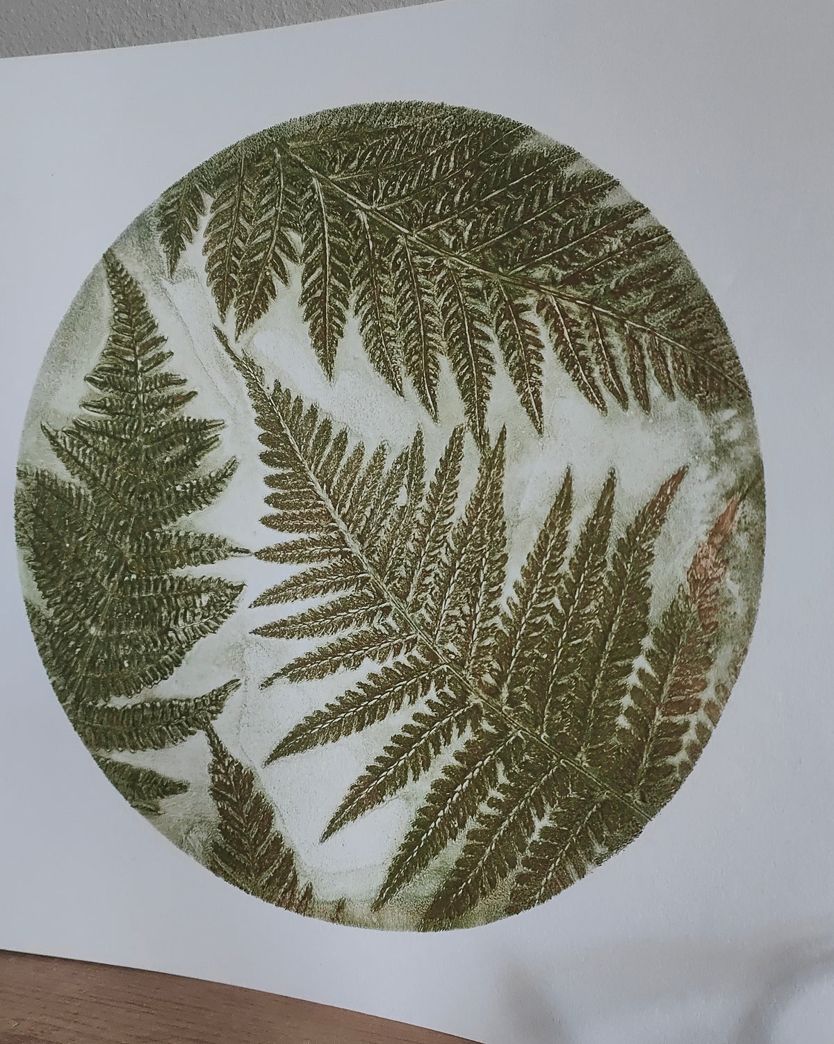Burnished Green Ferns Original Wild Woodland Circular Print