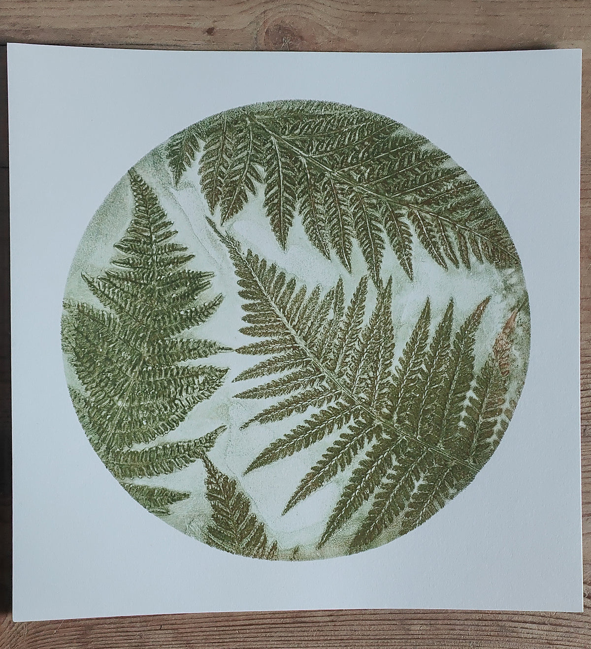 Burnished Green Ferns Original Wild Woodland Circular Print