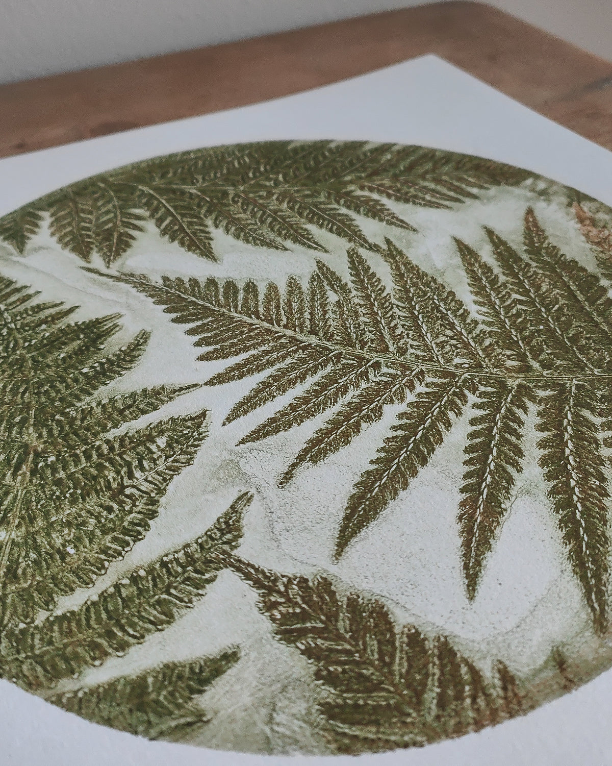 Burnished Green Ferns Original Wild Woodland Circular Print