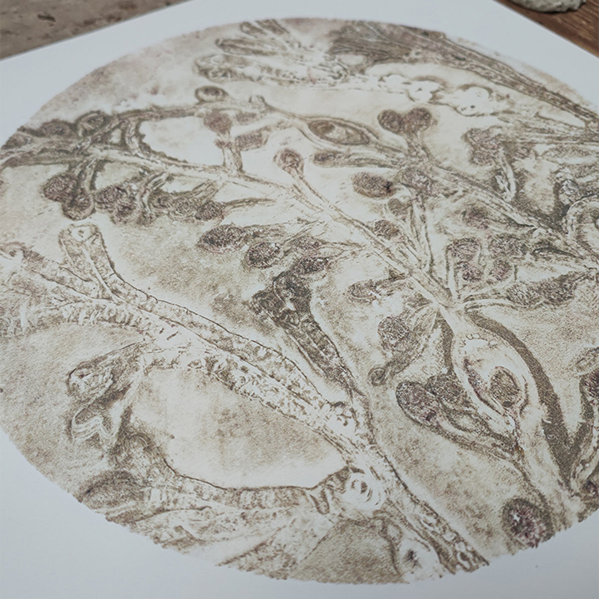 Original Warm Oyster Circular Seaweed Print