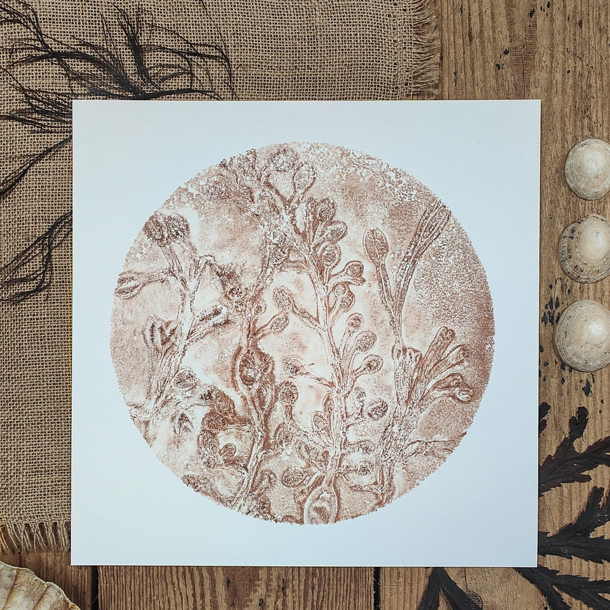 Original Sea Rose Circular Seaweed Print