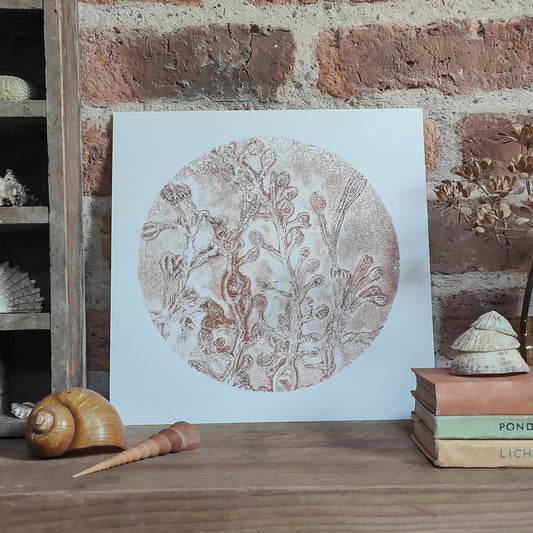 Original Sea Rose Circular Seaweed Print