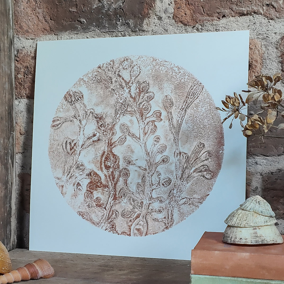 Original Sea Rose Circular Seaweed Print